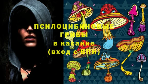 меф Мегион