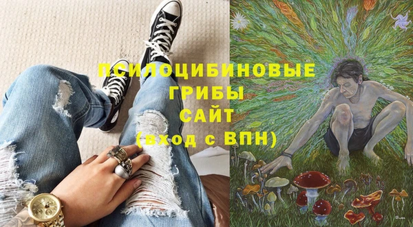 бошки Медвежьегорск