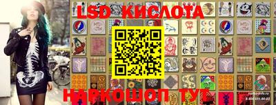 спиды Берёзовский