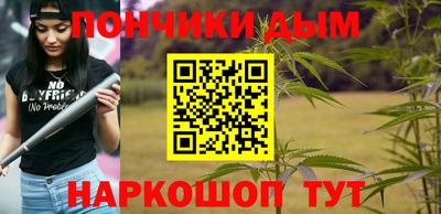 индика Беслан