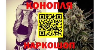 прущие крисы Бийск