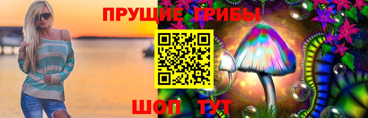 Псилоцибиновые грибы Psilocybe  Галлюциногенные грибы мицелий  Воткинск 